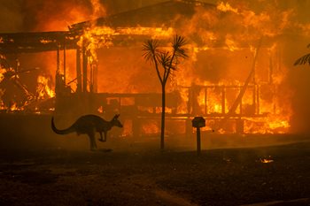 Becoming Climate - Climate change and resistance through the lens of World Press Photo: Pinerolo, Italy